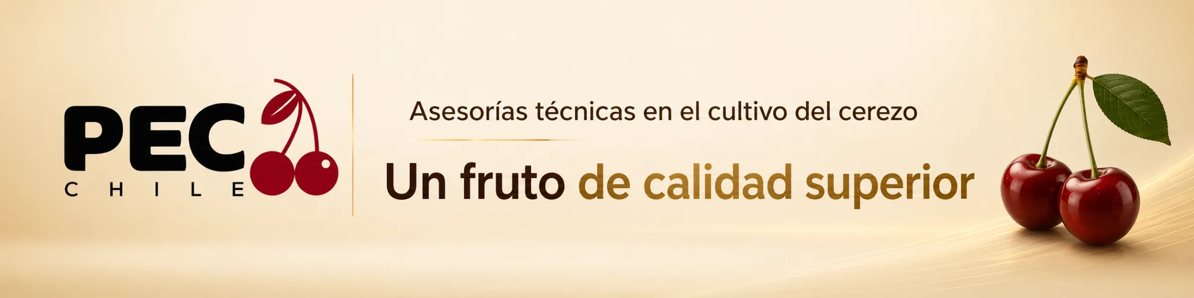 PEC Chile